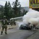 Image for article titled Save The Enzos! Priceless Ferrari Burns To Crisp In Canada